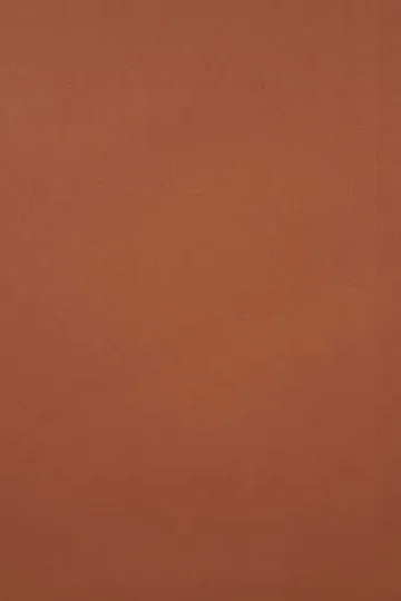 Rust Poplin shirt
