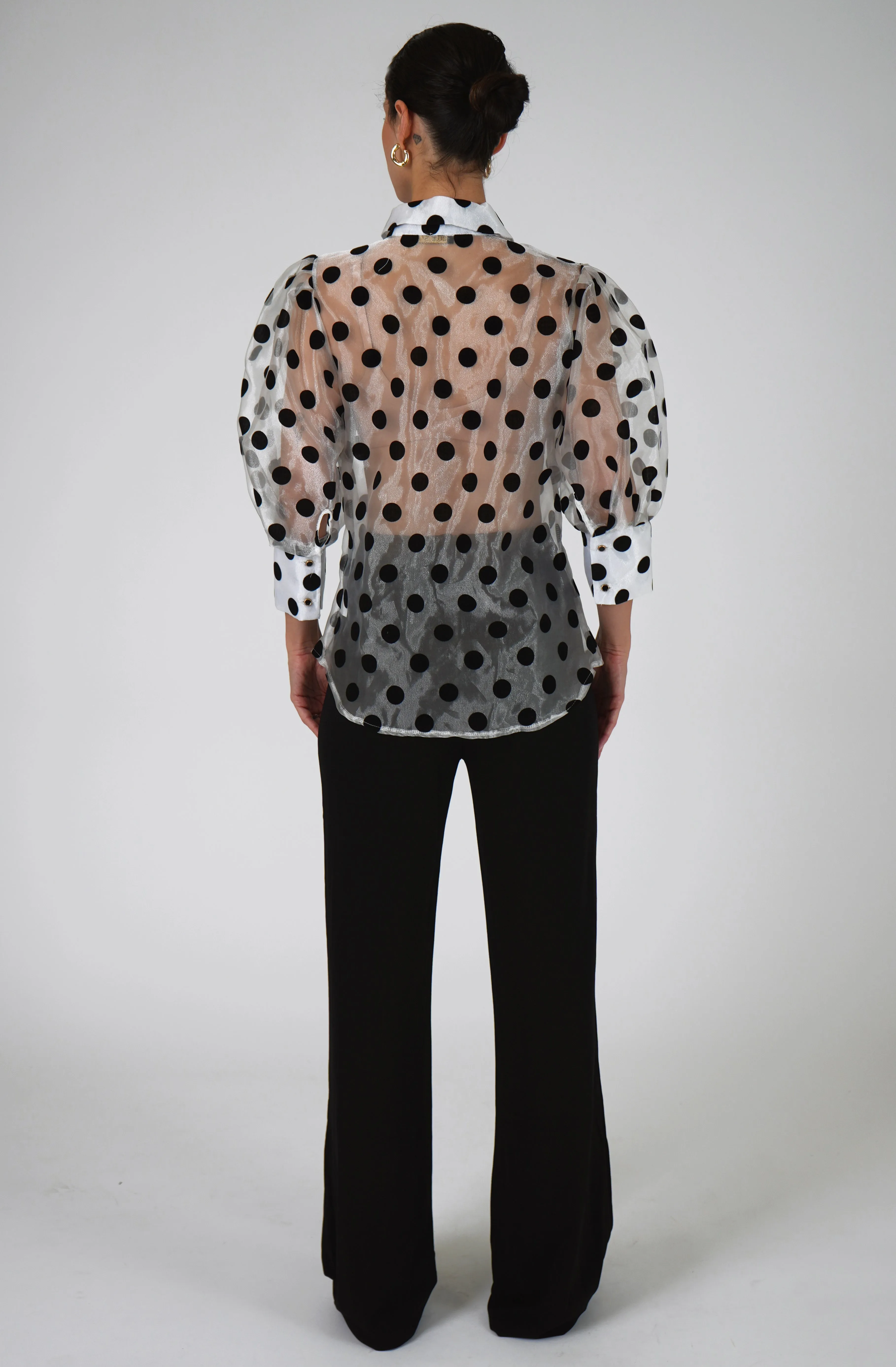 Sheer Organza Blouse with Velvet Dots